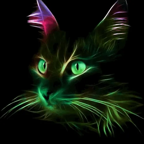 CCFF00 CATS