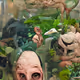 Celestial Terrariums
