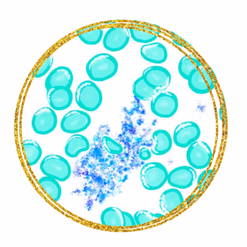 Cellular Longevity - old
