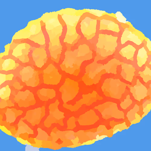 Cellular Processes