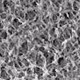 Cellulose Nitrate Membrane