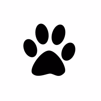 Cementerio parque de Mascotas