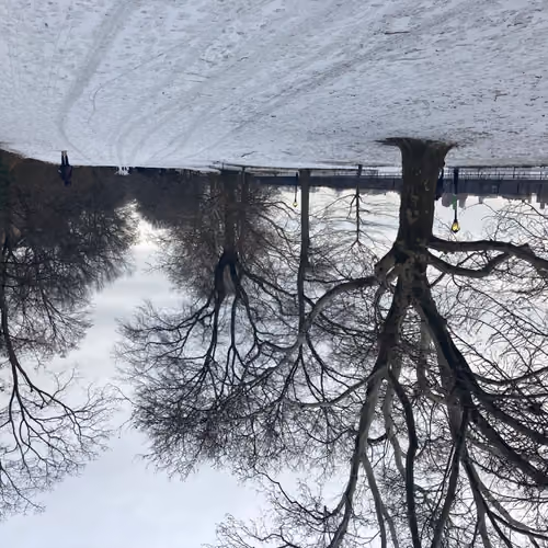 Central Park Snow Day