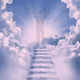 certificate of ownership of immortal soul