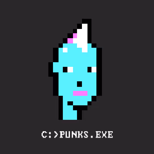 CGA Punks