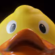 cgDuckies