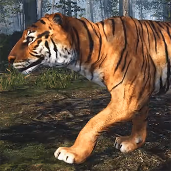 CGI Big Cats