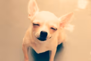 The world of healing artist ch.