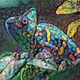 Chameleonic pictures