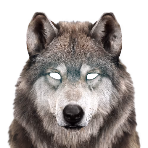 Charachter Energy Tokens - old