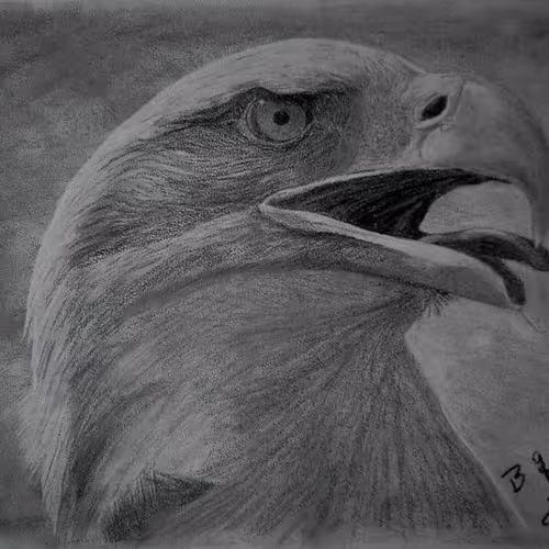 Charcoal Drawings - Birgit Gesell