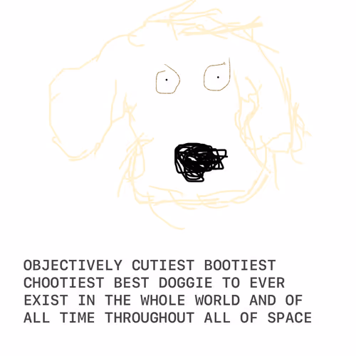 The Life of Charlie Biscuit