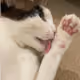 Charlie's Feet