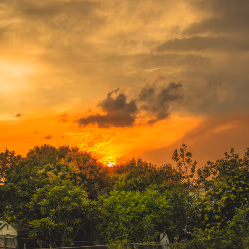 Chasing Sunlight - old