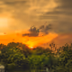 Chasing Sunlight - old
