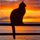 Chat by LeSerge
