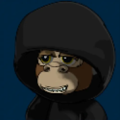 Checks - Budget Edition