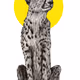 CHEETAH COLLECTION