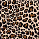 Cheetah G - old