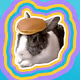 ChefCake