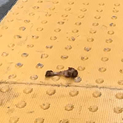 Chicken Bones Special Editions - old