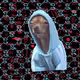 Chihuahua CHICHA