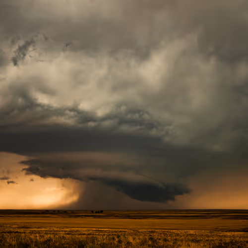 Child in Time V3 - old