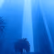 Chill & Blue - BASED