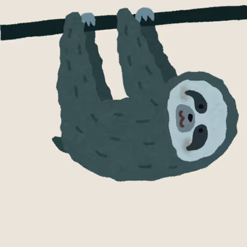 Chill Sloth Club