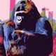 Chillin Gorilla