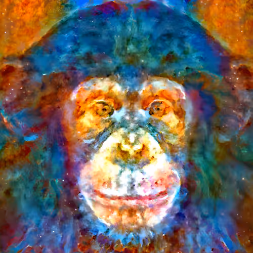 chimps art