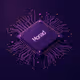 Mon Mainnet Chip