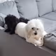 Chloey & Charolotte