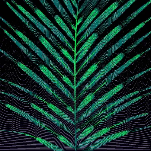 Chlorophyll