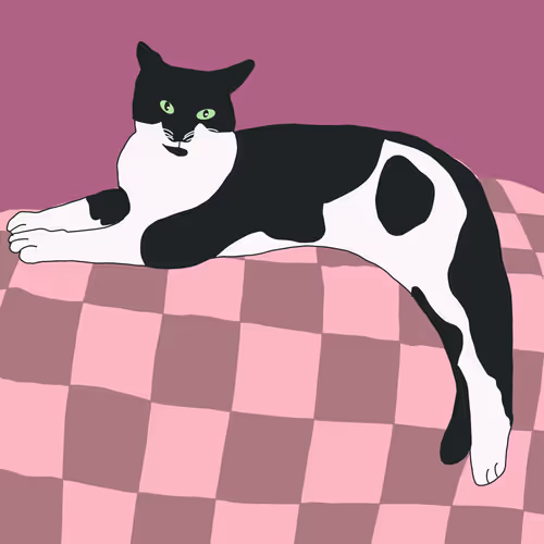 Chompy Cat Originals