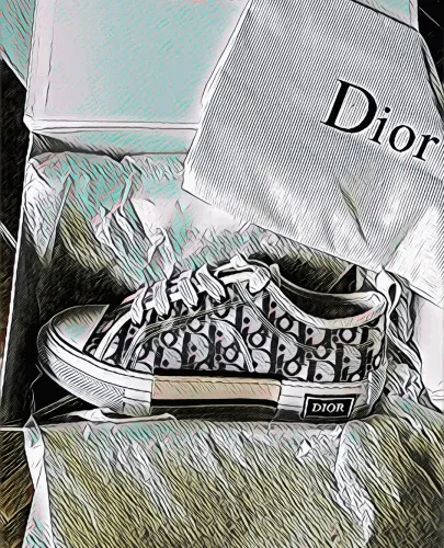 Christian Dior B23 Low Sneakers CryptoKix Edition - old
