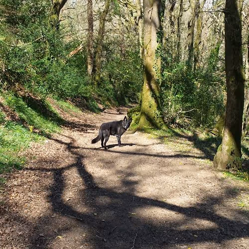 Chrizzle Photography - old