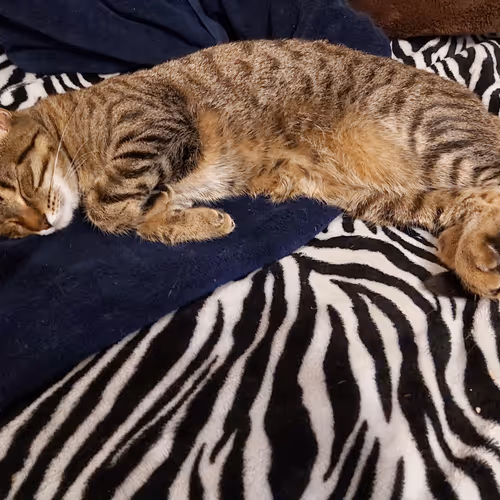 Chungry_Hildren Photography - old