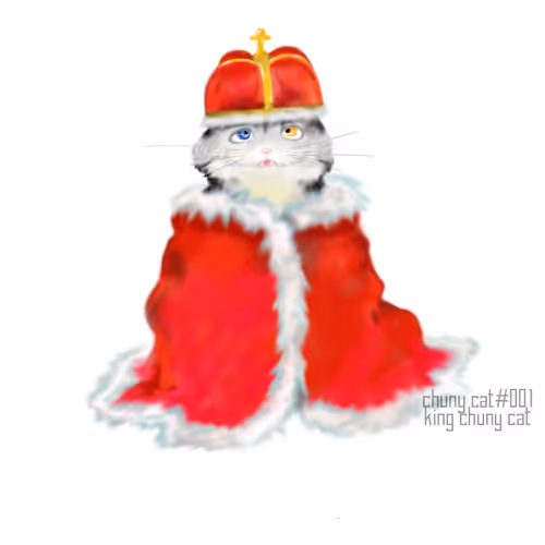 Chunky Cat the Serie