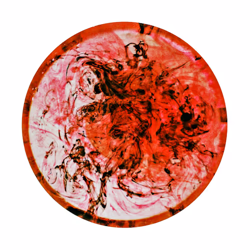 A Circular Splashes Genesis Membership - old