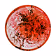 A Circular Splashes Genesis Membership - old