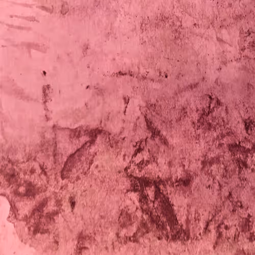 Circulation Diagrams