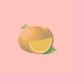 Item Media Placeholder
