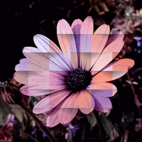 CITY BLOCKS - Victoria Edition