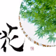 CJC (Crypto Japanese Calligraphy) - old