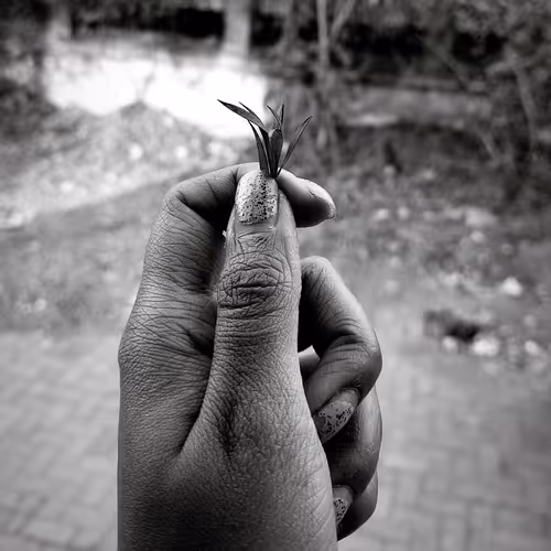 Click Art photography