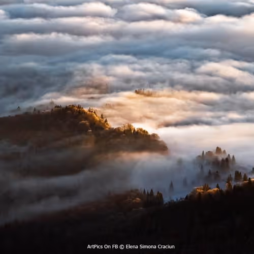 #21971347948857843261677461508241696916251365979531460386196086209420650872833