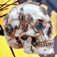 Clockwork Cranium Collection