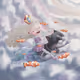 Cloud land