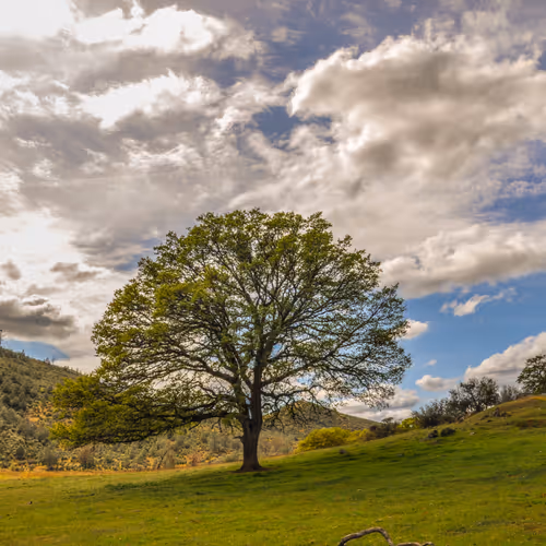 Cloud Lapse by wllmbtlr